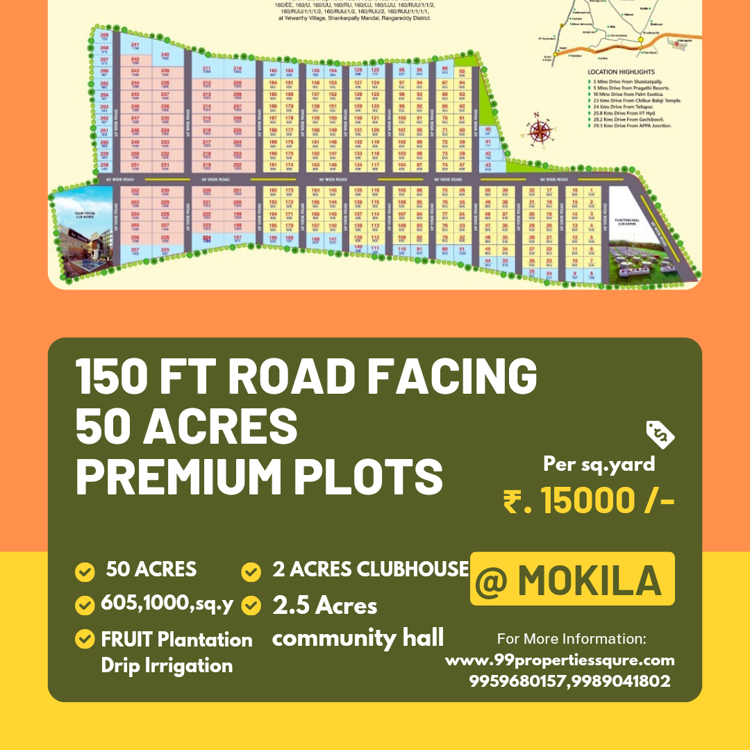 Green-and-Yellow-Modern-Property-For-Sale-Instagram-Post_20240912_145000_0000